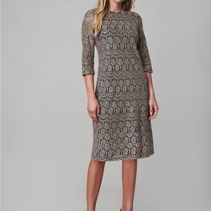 Eliza J Womens Lace Scalloped Boat Neck 3/4 Sleeve Sheath Dress